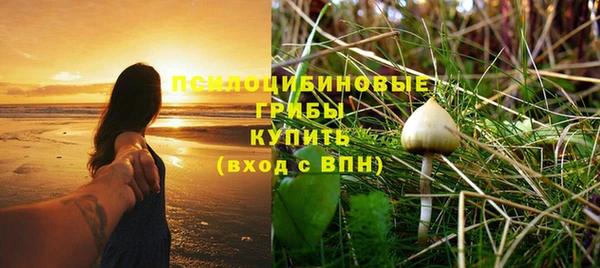 соль ск Елизово