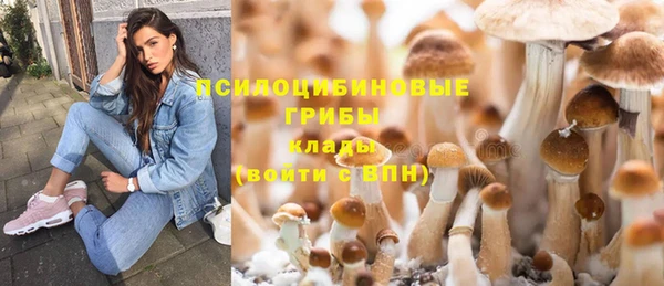 PSILOCYBIN Абинск