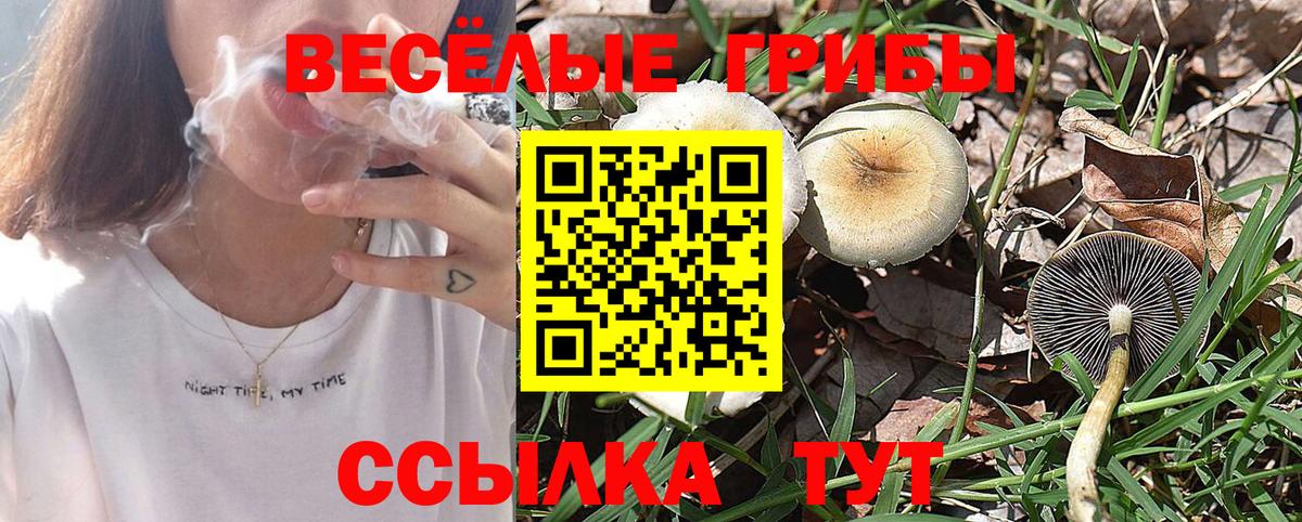 Кизилюрт  Галлюциногенные грибы GOLDEN TEACHER  Вход с VPN 